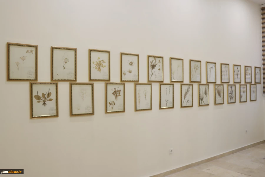 گیا شناسی دانشگاه فرهنگیان شهید بهشتی  2