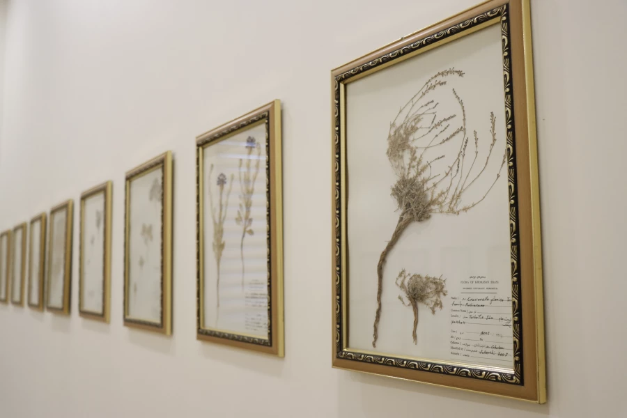 گیا شناسی دانشگاه فرهنگیان شهید بهشتی  3