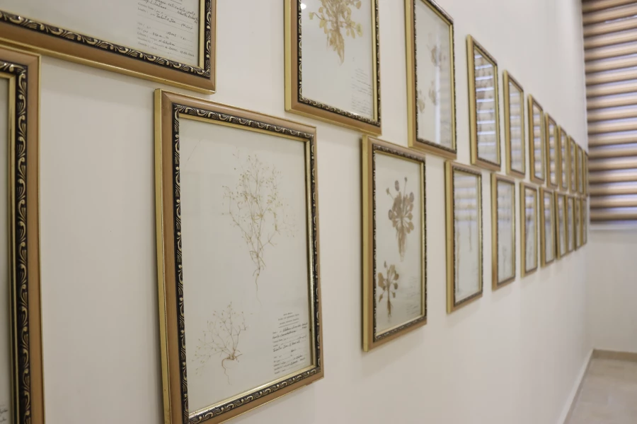 گیا شناسی دانشگاه فرهنگیان شهید بهشتی  4