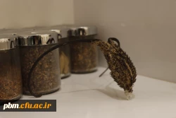 میکروسکوپی دانشگاه فرهنگیان شهید بهشتی  2