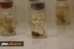 میکروسکوپی دانشگاه فرهنگیان شهید بهشتی  4