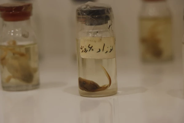 میکروسکوپی دانشگاه فرهنگیان شهید بهشتی  4