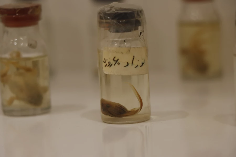 میکروسکوپی دانشگاه فرهنگیان شهید بهشتی  4