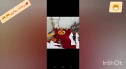 آثار برگزیده مسابقه یلدای کرونایی